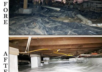 crawl space services