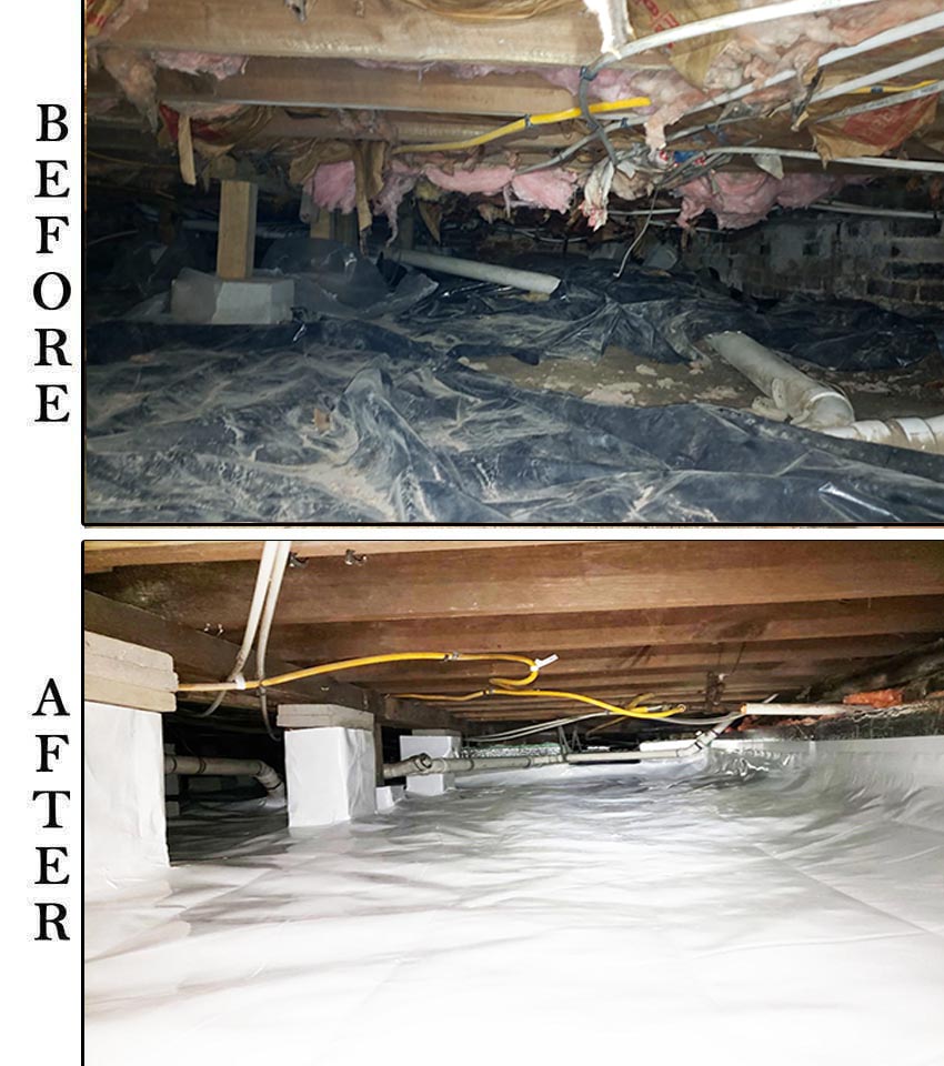 crawl space services