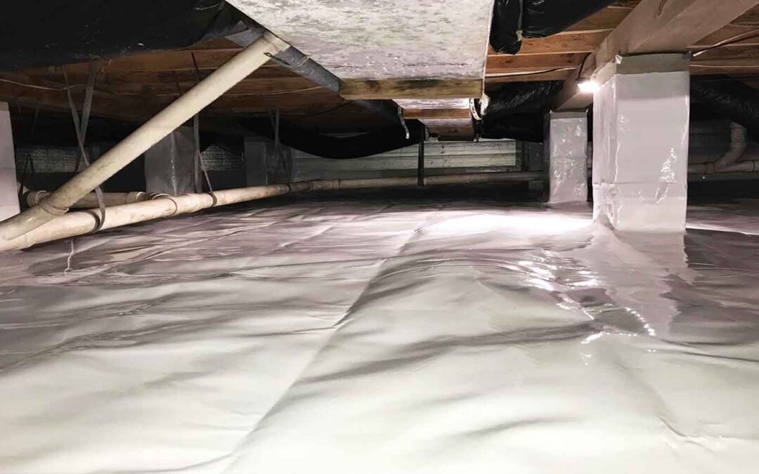 Why You Need a Clean, Dry Crawl Space